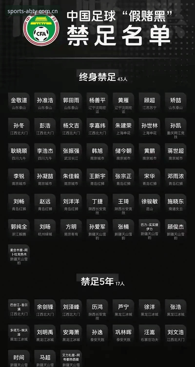 ab体育最新版下载怎么下载 中国足协第三批禁足名单详解